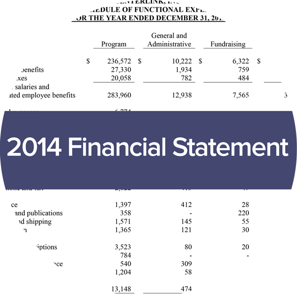image of 2014 centerlink financial statement