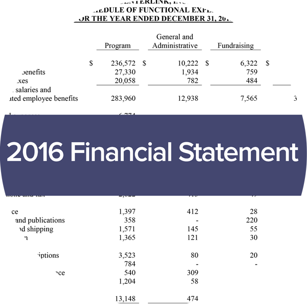 image of 2016 centerlink financial statement