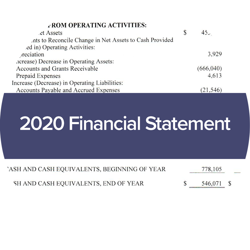 image of 2020 centerlink financial statements